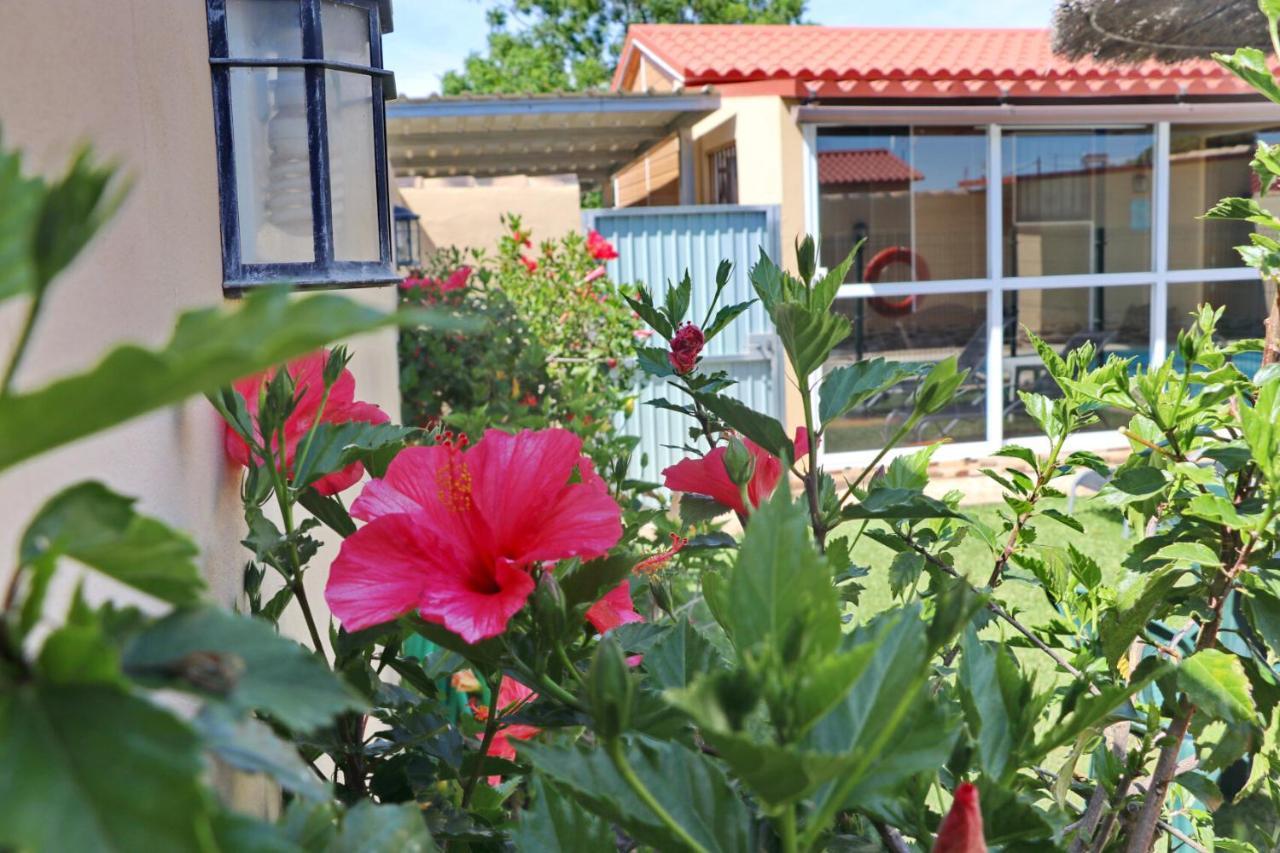 Bungalow Curro Pareja 97 Conil de la Frontera Kültér fotó